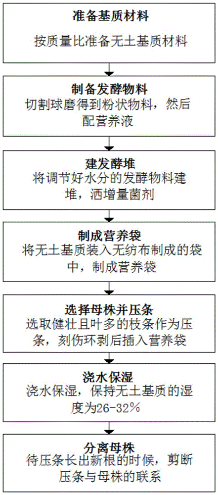 一种真柏压条无土育苗方法与流程