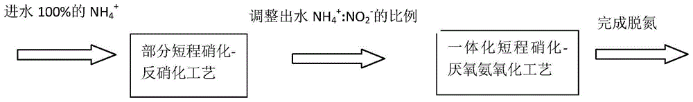 一种双短程硝化-厌氧氨氧化的脱氮工艺的制作方法