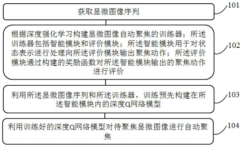 一种基于深度强化学习的显微图像自动聚焦方法及系统与流程