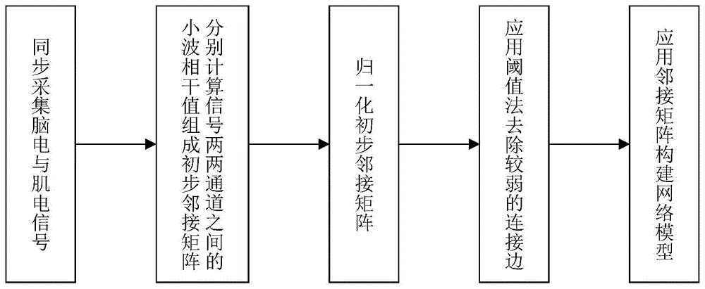 一种基于小波相干的脑肌功能网络构建方法与流程