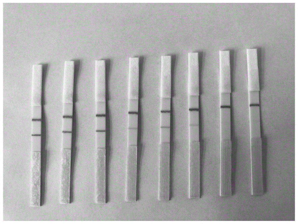 一种早期快速诊断鸡白痢沙门氏菌的试剂盒的制作方法