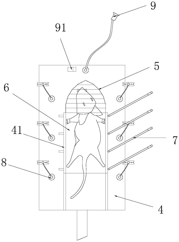 一种小鼠针刺、艾灸实验通用型固定器的制作方法