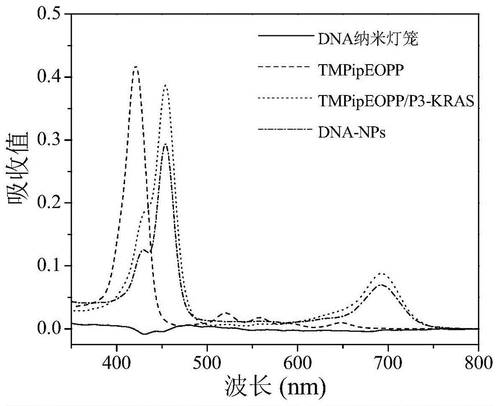 一种水溶性阳离子卟啉在制备PDT纳米光敏剂中的应用的制作方法