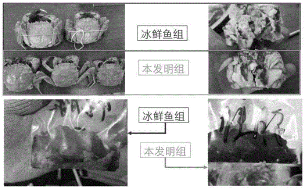 一种替代冰鲜鱼的河蟹育肥饲料及其应用的制作方法