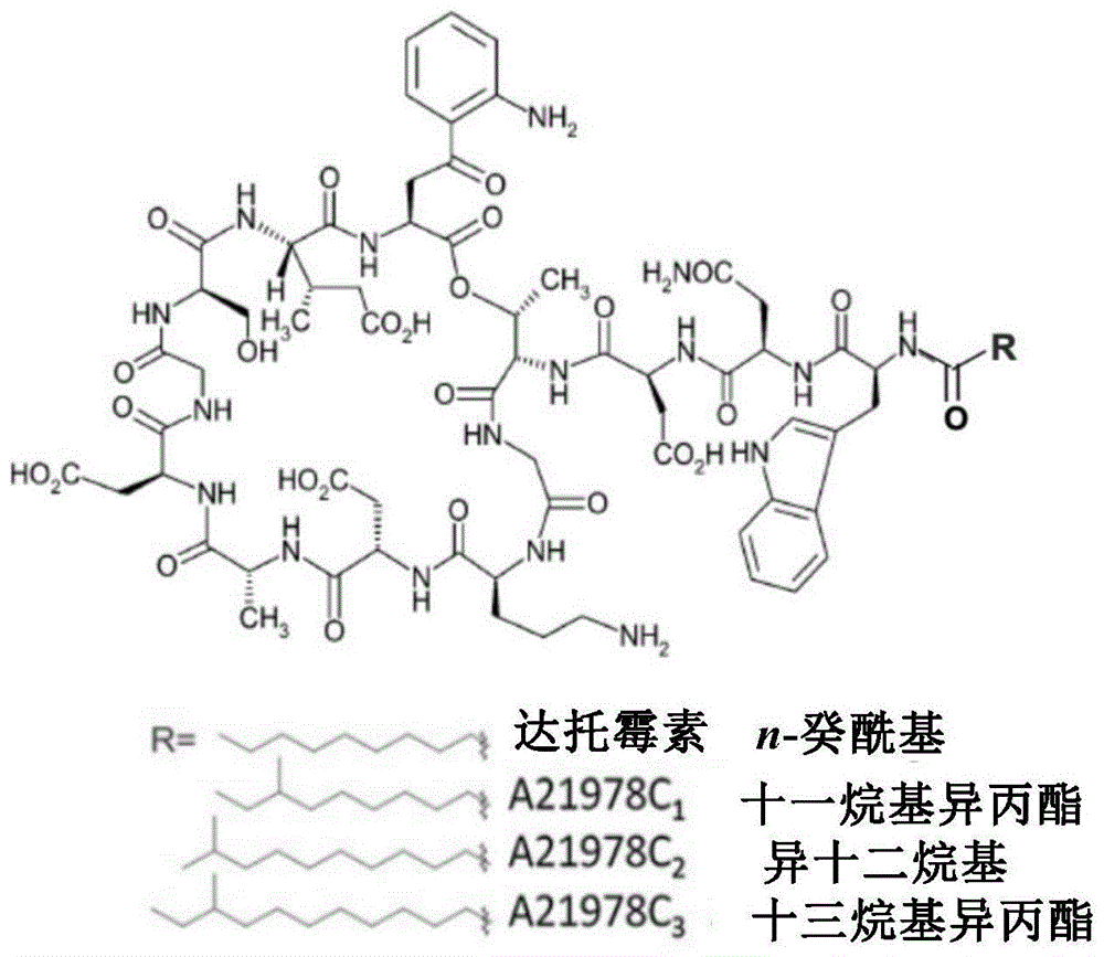 一种用于达托霉素生物合成的dptc1突变体的构建的制作方法