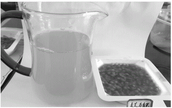 灵芝浆果浓缩茶的制备方法与流程