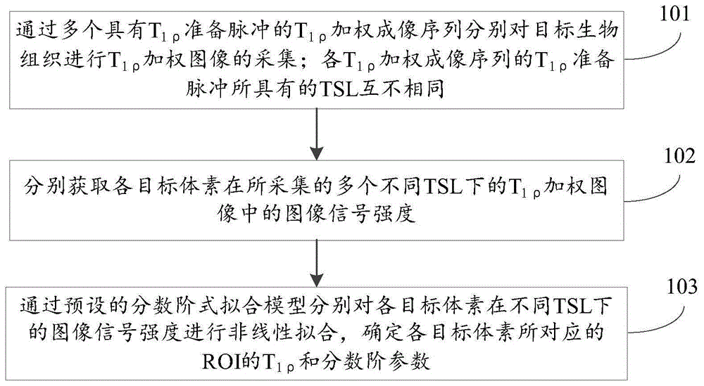 一种旋转坐标内弛豫时间确定方法、装置及存储介质与流程