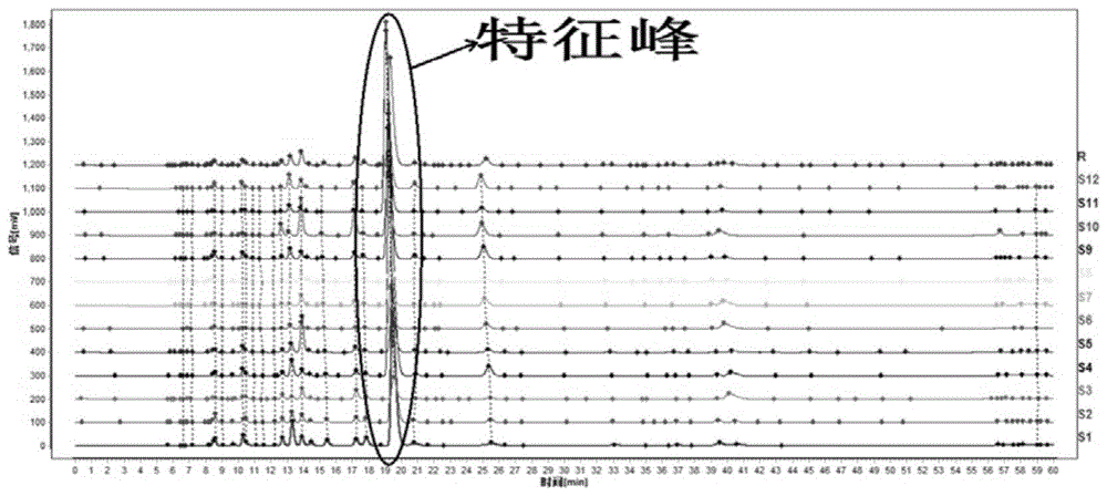 一种羊蹄甲炮制品指纹图谱的建立方法与流程