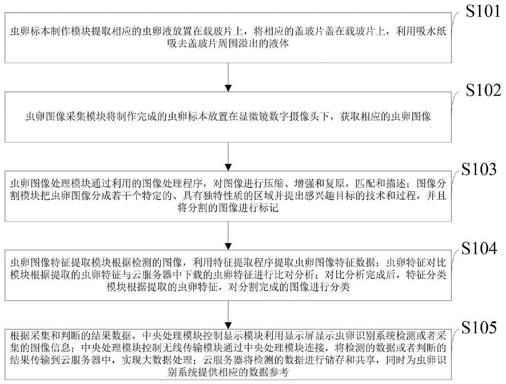 一种基于多特征融合的寄生虫虫卵的识别方法及系统与流程