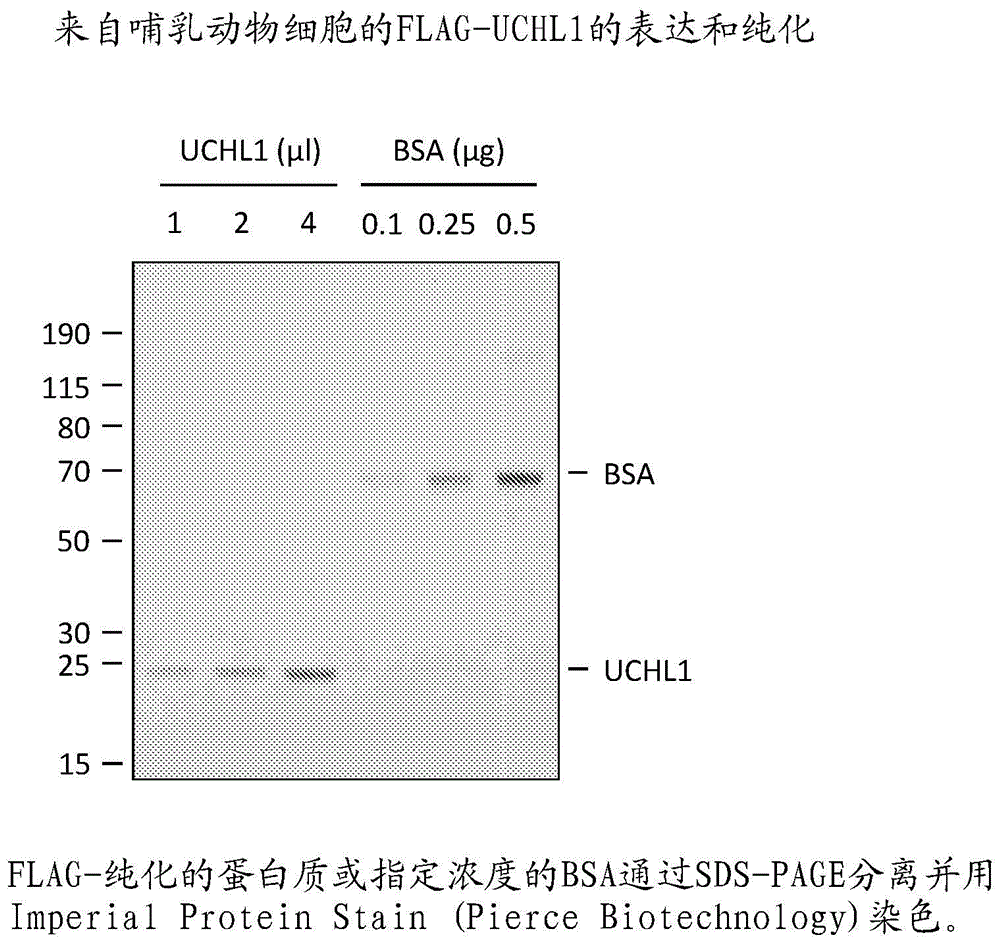 新化合物的制作方法