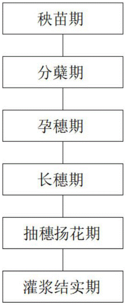 一种水稻种植过程中节水灌溉方法与流程