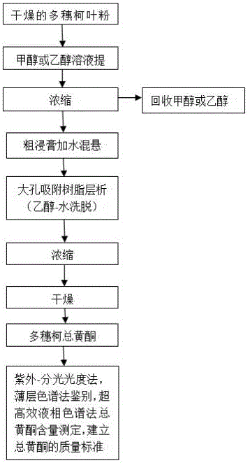 一种多穗柯总黄酮提取物的制备方法及质量检测方法与流程