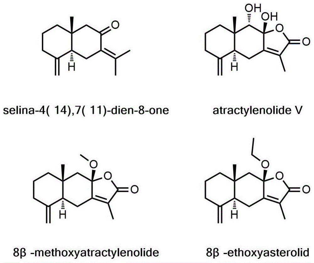 一种倍半萜化合物用作LSD1抑制剂和制备抗肿瘤药物的医药用途的制作方法