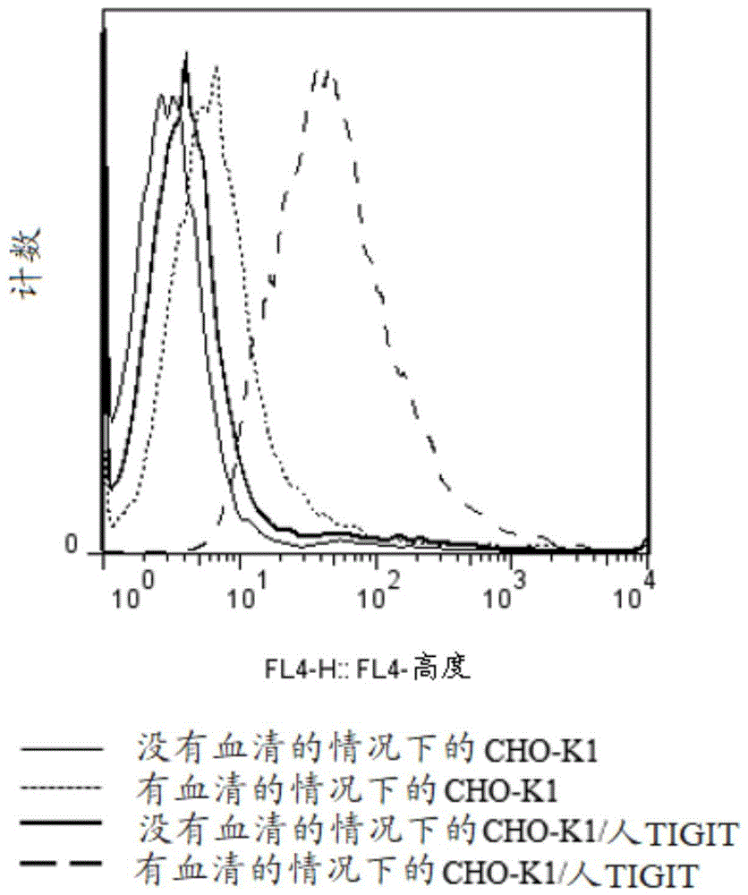 针对TIGIT的抗体及其变体的制作方法