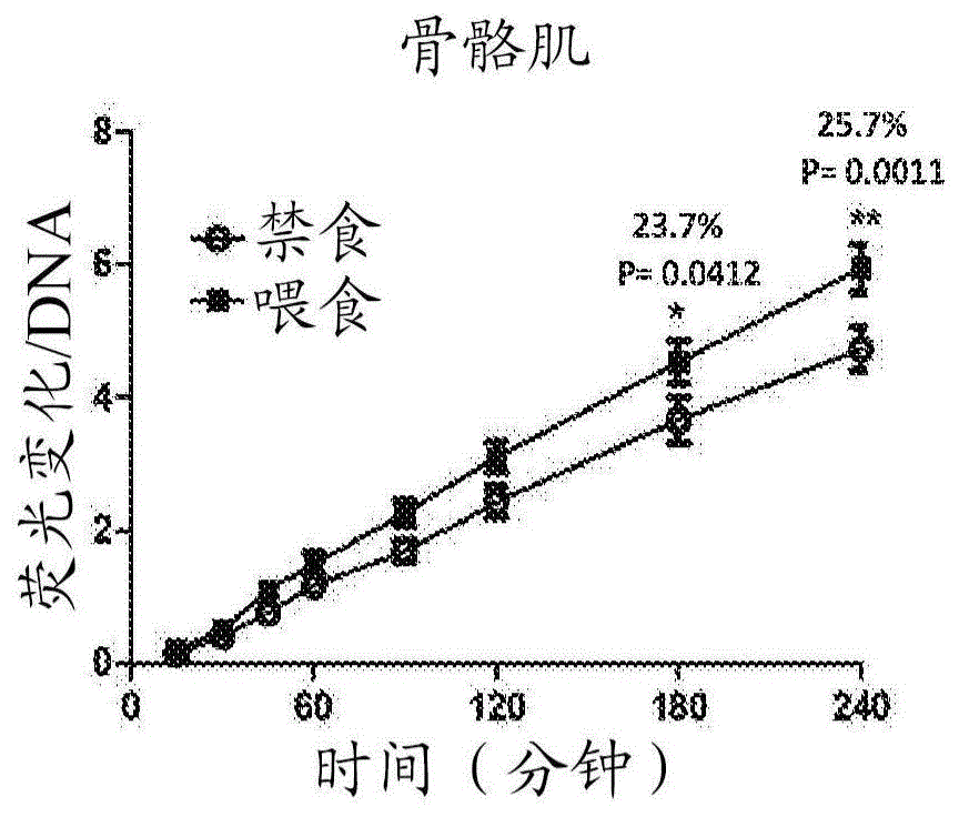 用于测量组织的还原当量产量以确定代谢率的方法及使用方法与流程