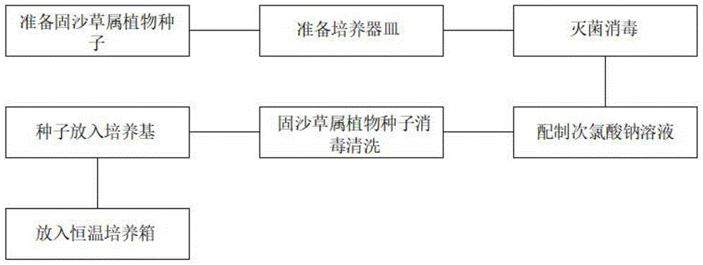 一种固沙草属植物组培育苗方法与流程