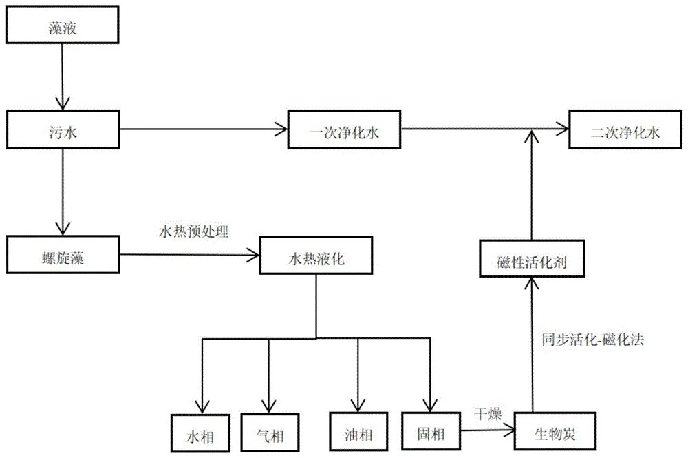 一种基于微藻及其水热液化生物炭的污水强化处理方法与流程