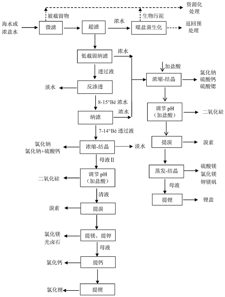 一种海水或浓盐水的综合处理方法与流程