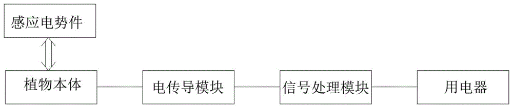 植物触发感应电控制的互动系统的制作方法