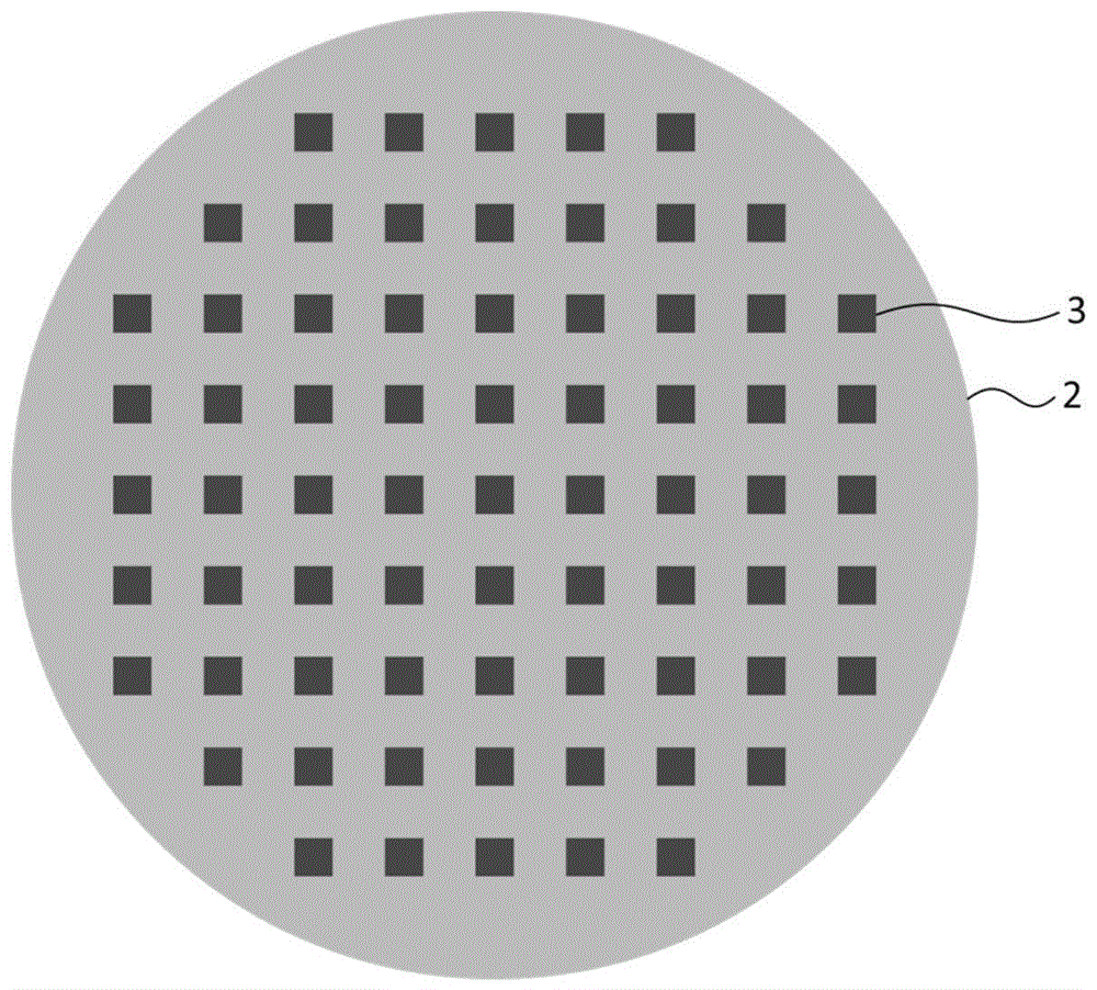 拉曼光谱法生物分子测序系统的制作方法