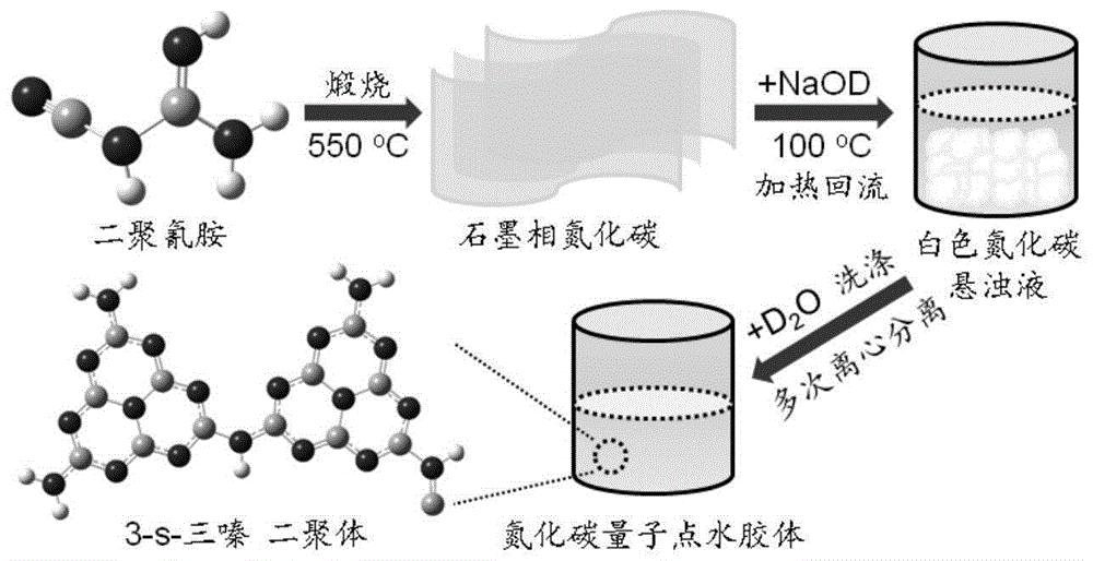 一种氮化碳量子点水胶体及其制备方法与应用与流程