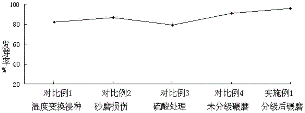 采用预先分级的黄芪种子机械破皮处理方法与流程