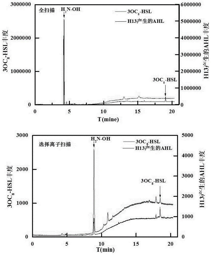 一种AHL信号分子的制备方法及其用途与流程