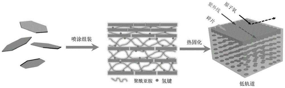 一种极端环境耐受性的双层结构聚酰亚胺复合材料及其制备方法与流程