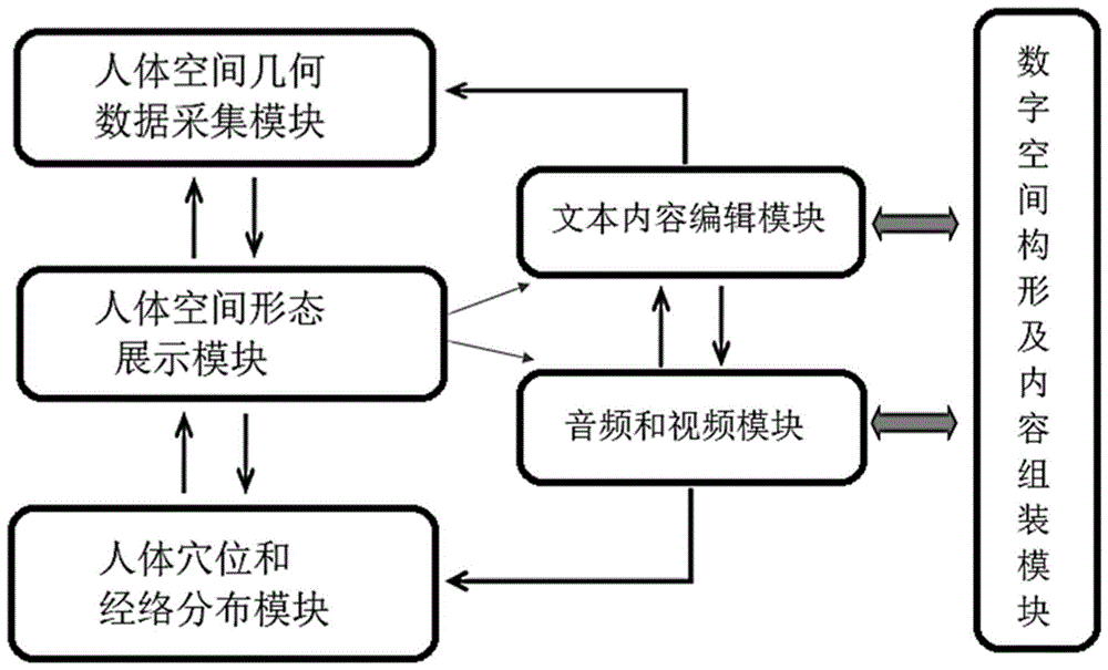 三维人体及其穴位和经络循行分布信息的多维度展示方法与流程