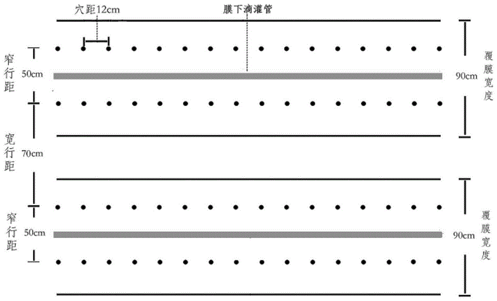 一种谷子膜下滴灌水肥一体化种植方法与流程