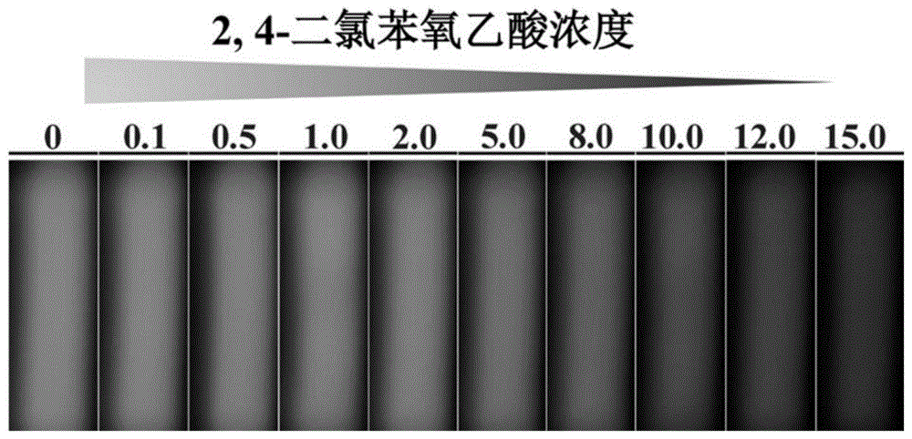 基于目标响应式3D打印模型与智能手机集成的2,4-二氯苯氧乙酸现场定量检测平台的制作方法