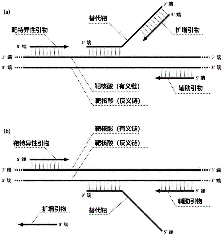 用于扩增靶核酸的方法及用于扩张靶核酸的组合物与流程