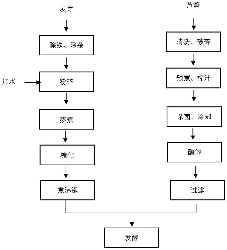 一种芦笋鲜酿啤酒及其酿造方法与流程