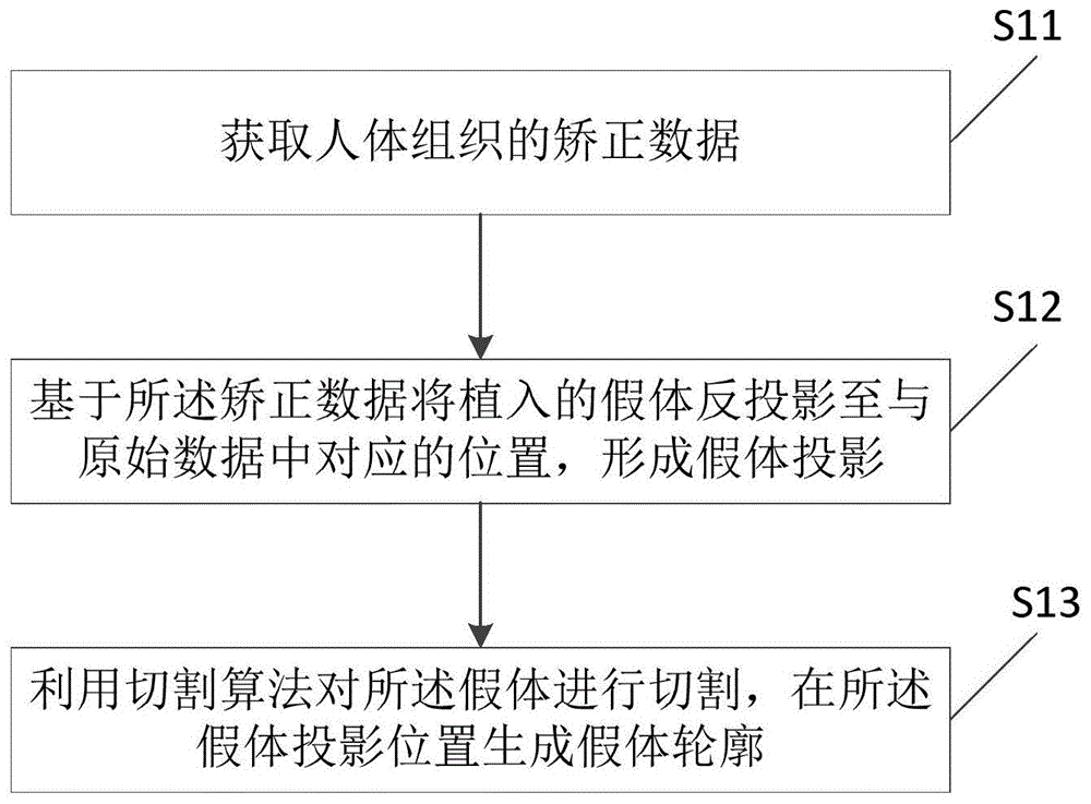 假体投影的方法、装置及电子设备与流程