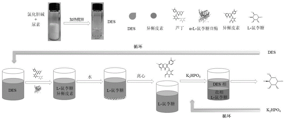 一种同时制备L-鼠李糖和异槲皮素的方法与流程