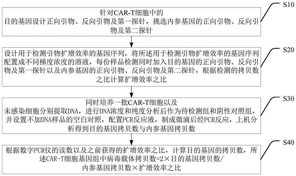 一种检测CAR-T细胞基因组中病毒载体拷贝数的方法与流程