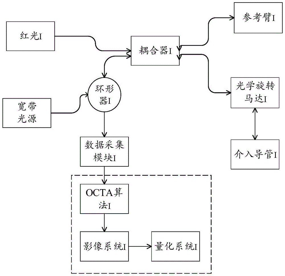 一种新型内窥血流成像及血流参数量化方法及系统与流程