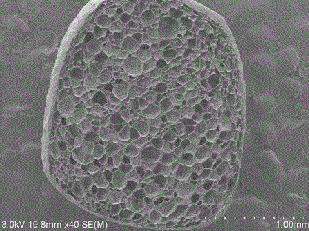 一种可发性生物降解微粒及具有抗菌功能的生物降解发泡珠粒的制作方法