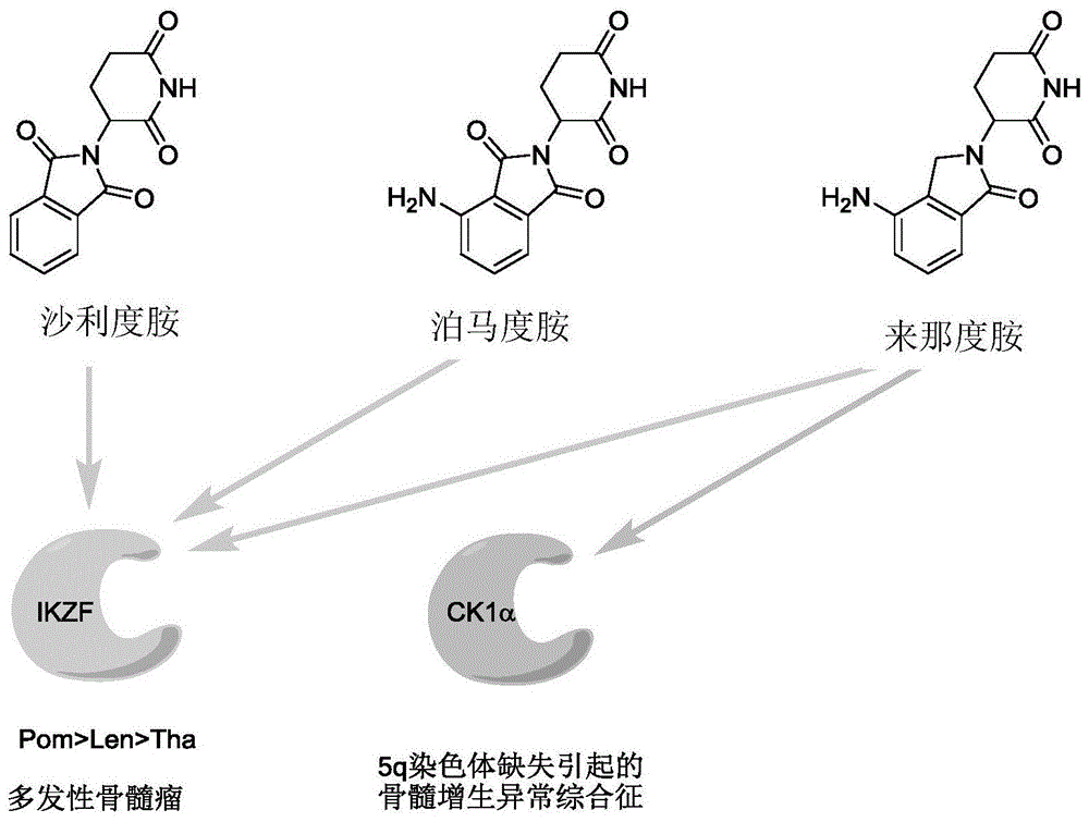 基于戊二酰亚胺骨架的含硫化合物及其应用的制作方法