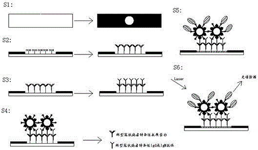 新型冠状病毒SARS-CoV-2的检测方法及检测装置与流程