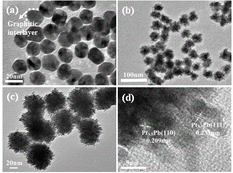 多枝晶Au@GQDs@PtPb核壳结构纳米复合材料的制备及应用的制作方法
