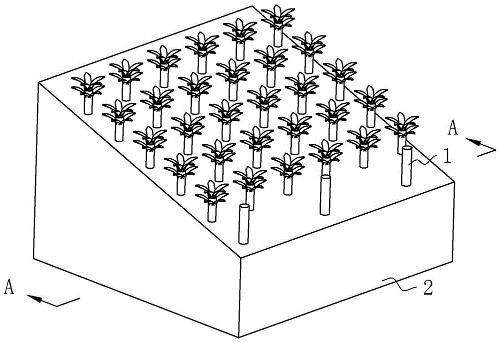 一种用于减少水土流失的生态驳岸的排桩支护结构的制作方法