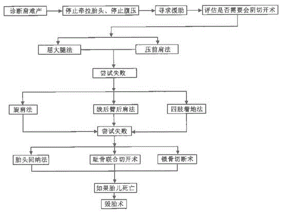 一种肩难产用辅助装置的制作方法