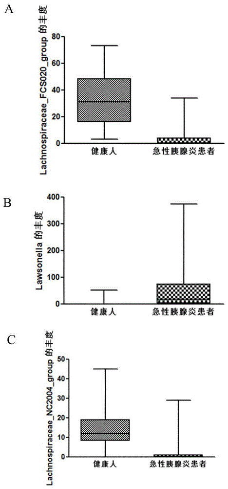 与急性胰腺炎相关的菌群及其应用的制作方法