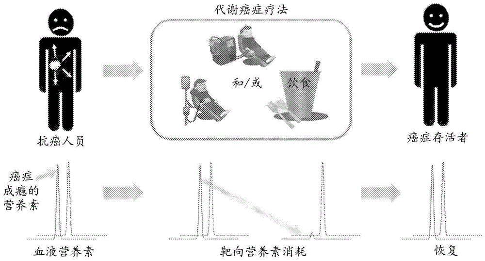 用于癌症治疗和代谢介入疗法的组合物、方法、试剂盒和系统与流程