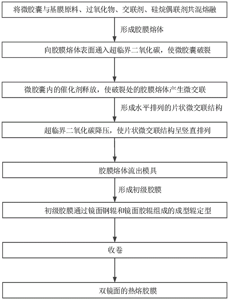 纳米级微胶囊、双镜面热熔胶膜、制备方法、应用与流程