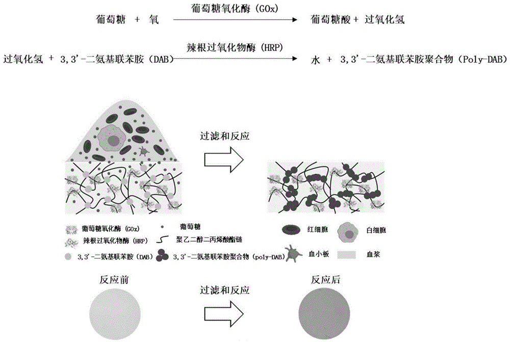 基于3D纳米孔状结构的血液分离和分析器件的制备方法及应用与流程