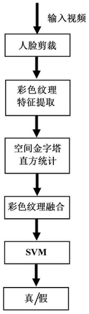 一种基于静态纹理的人脸欺诈检测方法、系统及存储介质与流程