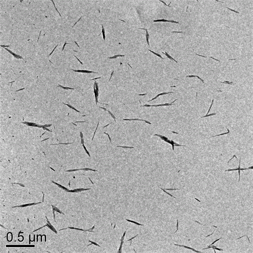 一种阿维菌素纳米缓释体及其制备方法和应用与流程