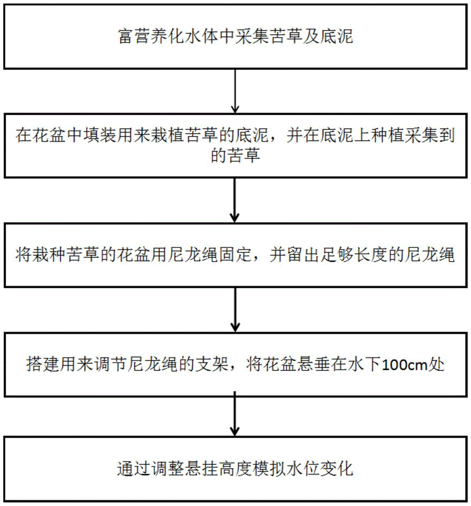 水体补水时获得提高沉水植物存活率的补水条件的方法及提高沉水植物存活率的方法与流程